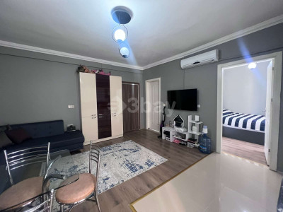 WhatsApp Image 2024-02-01 at 11.24.15.jpeg